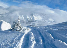 Tracks in powder snow